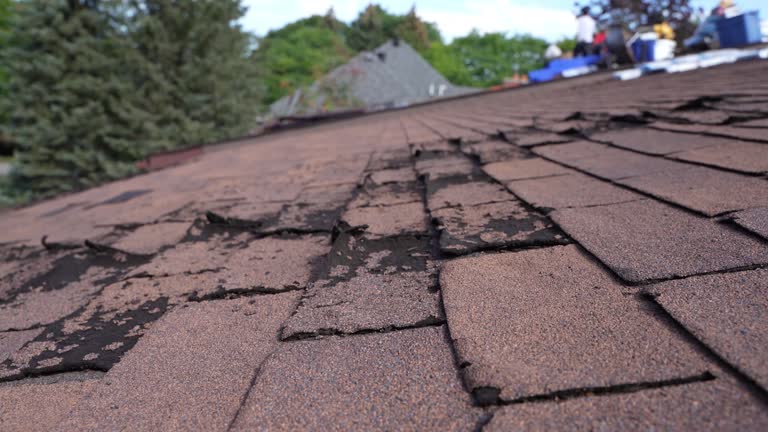Best Roof Insulation Installation  in Marlborough, MO